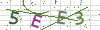 图片验证码
