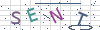 图片验证码