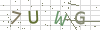 图片验证码