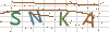 图片验证码