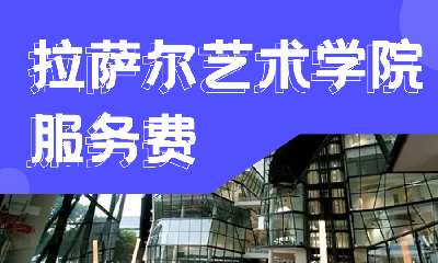 新加坡拉萨尔艺术学院申请服务