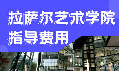 新加坡拉萨尔艺术学院申请指导服务