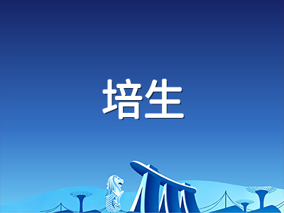 PTE考试2025年重大改革一周年回顾：新题型与人工审核机制下考生该如何调整备考策略