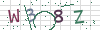 图片验证码