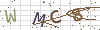 图片验证码